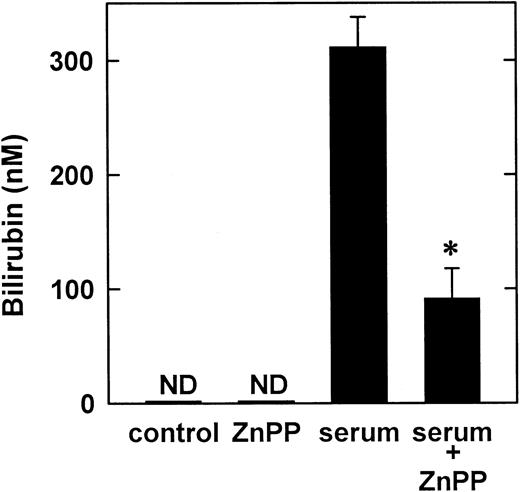 Fig. 4. Effect of serum on the synthesis of bilirubin by vascular SMCs. / Bilirubin was measured in the culture media after cells were treated with serum (10%) for 8 hours. Results are means ± SEM of 3 separate experiments. *Statistically significant effect of ZnPP. ND indicates not detected.