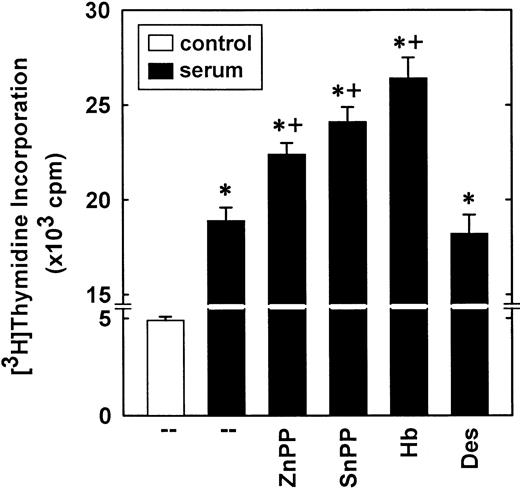 Fig. 5. Effect of serum on DNA synthesis in vascular SMCs. / Cells were treated with serum (10%) for 24 hours in the presence or absence of ZnPP (20 μM), SnPP (20 μM), Hb (50 μM), or desferrioxamine (100 μM). The heme oxygenase inhibitors and desferrioxamine were added simultaneously with serum, whereas Hb was given 12 hours after serum addition. Results are means ± SEM of 4 separate experiments. *Statistically significant effect of serum.+Statistically significant effect of HO inhibitors and Hb.