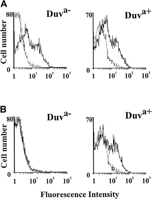 Fig. 3. Flow cytometric analysis of the maternal serum Duv binding with the Duva+ allelic form of the GP IIb-IIIa complex. / Cos cells expressing the Duva− or the Duva+form of the GP IIb-IIIa complex were incubated with a serum containing an anti–HPA-1a antibody (A) and with the maternal serum Duv (B) or an AB control serum (A and B, dotted line). Incubated cells were rinsed prior to incubation with an antihuman IgG conjugated to phycoerythrin. Washed cells were analyzed by a FACSCalibur cytometer. The maternal serum Duv reacts specifically with the cells expressing the Duva+ allelic form of the GP IIb-IIIa complex, whereas positive reaction was observed for both types of cells with anti–HPA-1a.