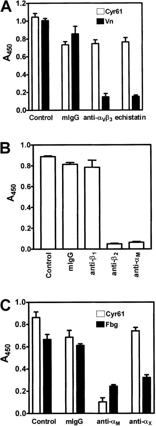 Fig. 5. Inhibition of monocyte adhesion to Cyr61. / Isolated monocytes were preincubated with inhibitors for 30 minutes at 37°C, then activated with 20 μM ADP, and allowed to adhere for 20 minutes at 37°C to microtiter wells coated with 10 μg/mL Cyr61, 10 μg/mL vitronectin, or 15 μg/mL fibrinogen as indicated. Cell adhesion was measured by the acid phosphatase assay. (A) Monocytes were pretreated with vehicle buffer (control), 200 nM mouse IgG (mIgG), 200 nM LM609 (anti-αvβ3), or 1 μM echistatin. Cell adhesion to Cyr61 (open bars) or vitronectin (closed bars) was performed. (B) Monocytes were pretreated with vehicle buffer (control), 200 nM mouse IgG (mIgG), 6S6 (anti-β1), YFC118.3 (anti-β2), or 2LPM19c (anti-αM) for 30 minutes at 37°C. Cell adhesion to Cyr61 was performed. (C) Monocytes, pretreated with vehicle buffer (control), 200 nM mouse IgG, 2LPM19c (anti-αM), or CBR-p150/4G1 (anti-αX) for 30 minutes at 37°C, were allowed to adhere to Cyr61 (open bars) or fibrinogen (closed bars). Data shown are means of triplicate determinations and error bars represent SEs.