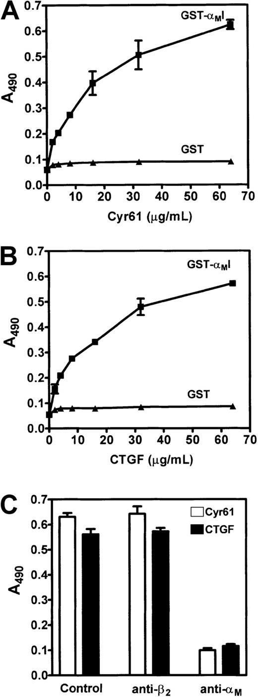 Fig. 8. Binding of the αMI domain to Cyr61 and CTGF. / Microtiter wells were coated with the indicated concentrations of Cyr61 (A) or CTGF (B), and blocked with 0.15% PVA. GST-αMI fusion protein or GST (1 μM each) was added and allowed to bind for 2 hours at 22°C. After washing, bound GST-αMI or GST was detected using a polyclonal anti-GST antibody followed by an HRP-conjugated secondary antibody. Bound antibodies were detected usingo-phenylenediamine dihydrochloride as the substrate and A490 was measured. (C) GST-αMI was preincubated with vehicle buffer (control), 500 nM YFC118.3 (anti-β2), or 2LPM19c (anti-αM) for 30 minutes at 37°C prior to addition to wells coated with 30 μg/mL Cyr61 (open bars) or CTGF (closed bars). Data shown are means of triplicate determinations and error bars represent SEs.