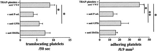 Fig. 5. GPIb-VWF–independent contributions to platelet translocation. / Combined VWF-A1 domain and P-selectin inhibition potently inhibited both translocation and adhesion, indicating that the GPIbα-mediated interactions occurred largely with the VWF-A1 domain. However, the small but significant increment in inhibition when GPIbα was blocked in addition to the VWF-A1 domain leaves some room for alternate high shear-resistant partners of GPIbα besides VWF. GPIIb/IIIa inhibition in addition to VWF-A1 domain blocking also yielded some further inhibition of adhesion, compatible with a role for GPIIb/IIIa-VWF RGD interactions during the adhesion of activated platelets (*P < .05; **P < .01).