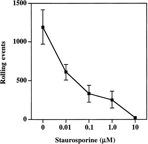 Fig. 7. Treatment of cells with staurosporine inhibits rolling on P-selectin. / HL60 cells were incubated with increasing concentrations of staurosporine as described in “Materials and methods.” Total rolling events at 1.9 dynes/cm2 were collected and analyzed as described for Figure 2. Staurosporine caused a dose-dependent decrease in rolling on P-selectin (1 of 3 experiments).