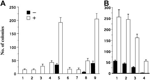 Fig. 5. Complementary effects of A1 and pim-1 in the BCR/ABL-mediated transformation of primary BMCs. / (A) A1 and pim-1 rescued transforming capacity of the BCR/ABLΔΔ mutant. Cells were infected with BCR/ABL WT-IRES-GFP (WT-GFP), BCR/ABL ΔΔ-IRES-GFP (ΔΔ-GFP) or with IRES-GFP (GFP) retroviruses. After 3 days in culture GFP+cells were isolated and coinfected with retroviruses carrying A1, pim-1, or with equivalent empty retroviruses (E). Groups are: 1, E+E+GFP; 2, A1+E+GFP; 3, E+pim-1+GFP; 4, A1+pim-1+GFP; 5, E+E+WT-GFP; 6, E+E+ΔΔ-GFP; 7, A1+E+ΔΔ-GFP; 8, E+pim-1+ΔΔ-GFP; 9, A1+pim-1+ΔΔ-GFP. (B) Simultaneous inhibition of A1 (by the AS cDNA) and pim-1 (by the dominant-negative K67M mutant) reduced transforming capacity of the BCR/ABL. Cells were infected with BCR/ABL WT-IRES-GFP retrovirus. GFP+ cells were coinfected with retroviruses containing A1 AS cDNA(AS), pim-1(K67M) dominant-negative mutant, or with equivalent empty retroviruses (E). Groups are: 1, WT-GFP+E+E; 2, WT-GFP+A1(AS)+E; 3, WT-GFP+E+pim-1(K67M); 4, WT-GFP+A1(AS)+pim-1(K67M). After infection 104 cells were plated in methylcellulose in the absence (−) or presence (+) of the threshold concentration (0.1 U/mL) of murine recombinant IL-3. Results (mean ± SD) are from 3 experiments.