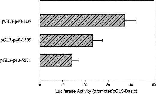 Fig. 1. Identification of the proximal promoter region of thep40phox gene. / HL-60 cells in log phase of growth were transfected with the indicated constructs and assayed for luciferase activity after 48 hours. Allp40phox constructs extended from the indicated position in the 5′-flanking sequence of the gene to nucleotide +104 of the 5′-UTR relative to the reported transcriptional start site.36 Luciferase activity is reported as the ratio of the test construct to the promoterless vector pGL3-Basic. Values were corrected for transfection efficiency by cotransfection with the renilla expression plasmid and were normalized to equal molar content of DNA. Data shown are means (± SE) of 5 independent experiments.