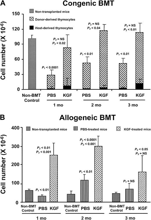 Fig. 3. KGF durably improves post-BMT thymopoiesis. / (A) PBS- or KGF-treated congenic BMT recipients after 1400 cGy conditioning analyzed over the 3 months following BMT. Shown are mean absolute thymocyte numbers ± SD. Gray bar, non-BMT control; diagonally hatched bar, donor-derived thymocytes; black bar, host-derived thymocytes. (B) PBS- (vertically hatched bar) or KGF-treated (cross-hatched bar) allogeneic BMT recipients after 900 cGy conditioning analyzed over the 3 months following BMT. Shown are mean absolute thymocyte numbers ± SD.