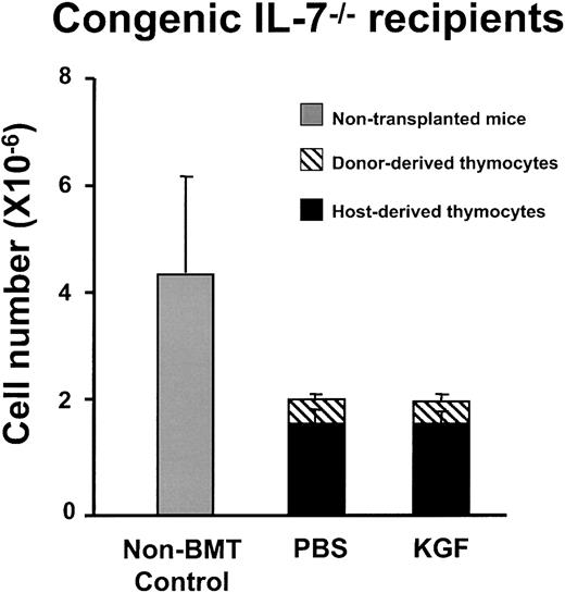 Fig. 8. KGF does not increase post-BMT thymopoiesis in IL-7. / −/− mice. C57BL/6J IL-7−/− mice were treated with PBS or KGF followed by 1000 cGy irradiation and BMT from congenic CD45.1 donors (n = 4 in each group). Thymic cellularity was analyzed at day 28 after BMT. The thymic cellularity of the PBS- and KGF-treated IL-7−/− mice is significantly less than that of the nontransplanted IL-7−/− mice (P < .02), but there is no difference between the PBS and KGF groups.