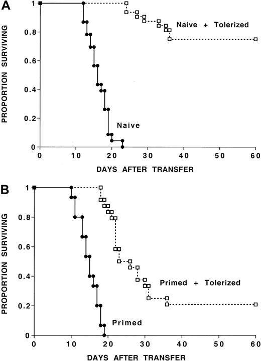 Fig. 2. In vivo inhibition of GVHD mortality by the infusion of tolerized cells. / Tolerized cells reduce GVHD mortality induced by naive or primed cells. (A) One hundred thousand naive B6 CD4+ T cells were injected with or without 105 tolerized B6 CD4+T cells (by separate injection) into sublethally irradiated bm12 recipients. Four separate experiments with similar results were pooled; n = 23 for recipients of naive cells and n = 32 for recipients of naive and tolerized cells (P < .001). (B) One hundred thousand primed B6 CD4+ T cells were injected with or without 105 tolerized B6 CD4+ T cells (by separate injection) into sublethally irradiated bm12 recipients. Three separate experiments with similar results were pooled; n = 15 for recipients of primed cells and n = 24 for recipients of primed and tolerized cells (P < .001). On the x-axis are days after transfer of T cells. The y-axis shows the proportion of recipients surviving after transfer.