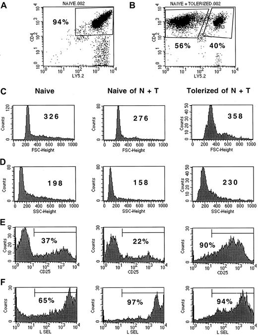 Fig. 4. Decreased activation status of naive CD4+ T cells cocultured with tolerized cells. / Naive CD4+ T cells cocultured with tolerized cells have a reduced activation status compared with control culture. Naive B6 CD45.1 CD4+ T cells were cultured with bm12 stimulators with or without the addition of tolerized B6 CD45.2 CD4+cells at a ratio of 3 naive cells to 1 tolerized cell. On day 5, cultures were analyzed by flow cytometry for parameters of T-cell activation. The contour plots of the culture without (panel A) and with (panel B) the addition of the tolerized cells demonstrate the percentage of naive and tolerized cells present in the culture. The naive cells are in the upper right portion of the plots and the tolerized cells in the upper left portion. The percentage of cells shown in each of the gates is shown. The second and third rows (panels C-D) illustrate the FSC and SSC histogram plots gated for the naive cells cultured alone, naive cells from the coculture, and tolerized cells from the coculture. The fourth and fifth rows (panels E-F) illustrate the percentage of cells positive for CD25 and L selectin (CD62L) expression in each of the gated populations.