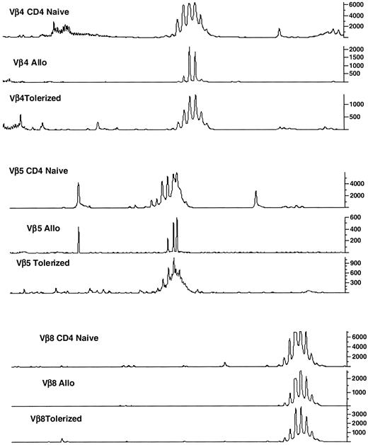 Fig. 7. Broad Vβ repertoire in CD4+ T cells with regulatory activity generated by ex vivo CD40:CD40L blockade. / CD4+ T cells with regulatory activity generated by ex vivo CD40:CD40L blockade have a broad Vβ repertoire. BALB/c CD4+ T cells were tolerized to B6 as described in “Materials and methods.” At the end of culture, total cellular RNA was isolated and cDNA was prepared from control cultured or tolerized cells, as well as from freshly purified naive CD4+ T cells. As a measure of repertoire size, spectratyping for 17 distinct Vβ families was performed, and CDR3-size usage was quantified by scanning densitometry. Three Vβ family members (Vβ4, Vβ6, and Vβ8) are illustrated. As compared with freshly purified CD4+ T cells, control cultured cells had restricted Vβ4 and Vβ5 but not Vβ8 usage, consistent with preferential Vβ use in response to alloantigen stimulation. In contrast, Vβ4 and Vβ5 usage was broader in tolerized cultures, indicating that tolerization and the generation of regulatory cells occurred without substantial repertoire restriction.