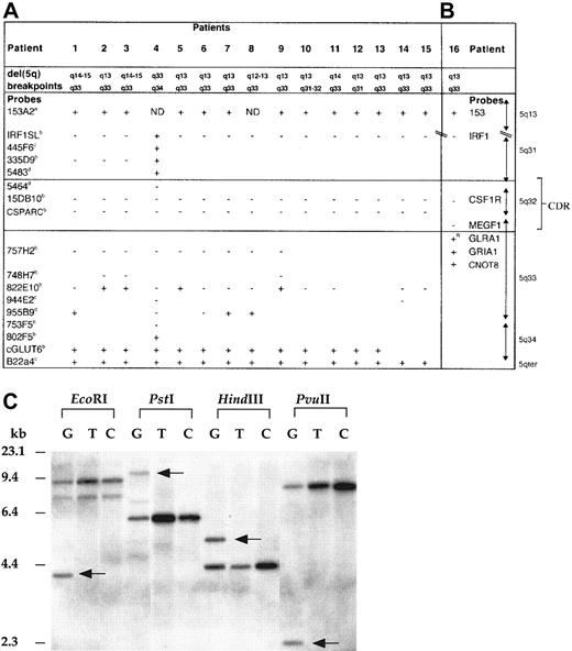 Fig. 1. Mapping of the del(5q) in 5q− syndrome patients. / FISH studies (patients 1-15) (A) and gene-dosage studies (patient 16) (B) with the use of probes from 5q31-qter and 5q13. The + indicates retained on del(5q); + R, rearranged on del(5q); −, deleted from del(5q); ND, not determined owing to limited metaphase numbers; boxed area, 5q− syndrome CDR. The following indicate that the probe was donated by the people or institutions listed:a, Kay Davies, Oxford University; b, Jaju et al4; c, Kostrzewa et al9;d, http://www.tree.caltech.edu/ and LBNL; e, National Institutes of Health and Institute of Molecular Medicine Collaboration.10 The 1-16 are 5q− syndrome (MDS-RA) cases studied; patient 4 has been reported previously.4 (C) Southern blot hybridized to a GLRA1 PCR probe showing rearrangement of the GLRA1 gene in patient 16. Previously published primers14 were used for the amplification of theGLRA1 gene, and the PCR-generated probe was sequenced to confirm its identity. The restriction enzymes used are indicated above the lanes. G indicates granulocyte DNA from patient 16; T, T-lymphocyte DNA from patient 16; C, peripheral blood DNA from healthy control. Rearranged fragments are observed in all 4 lanes containing granulocyte DNA from patient 16 (arrows), but not in T-lymphocyte DNA from patient 16, or in DNA from controls. No additional hybridization fragments were observed in the DNA tracks of patient 16 when the same Southern blot was rehybridized with each of the probes for the other 5q-specific genes investigated (see gene-dosage discussion in text).