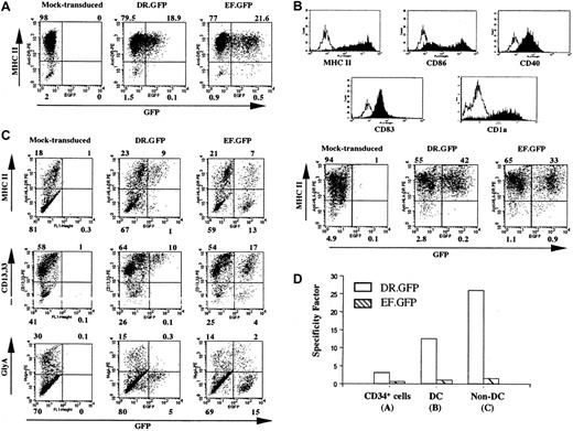 Fig. 2. Specific GFP expression in DR.GFP-transduced blood CD34+ cells and their progeny differentiated in vitro. / (A) Human CD34+ PBSCs were transduced with DR.GFP or EF.GFP LV at an MOI of 10. GFP and MHC II (HLA-DR) expression of these transduced CD34+ cells was analyzed 3 days after transduction. (B) Human DCs were differentiated from the above-transduced CD34+ cells for 16 days in the presence of human GM-CSF, IL-4, and TNF-α. Expression of the DC cell surface markers and the correlation of GFP with MHC II expression in these human DCs were examined by FACS analysis. The histogram of staining with each specific antibody (filled lines) overlays on the background staining (open lines) using the corresponding isotype-matched control antibody. (C) Transduced cells were differentiated in methylcellulose for erythroid/myeloid CFC assays. CFC-derived differentiated cells (non-DCs) were harvested on day 14 and examined for GFP, MHC II, myeloid (CD13 and CD33), and erythroid (glycophorin A, GlyA) cell lineage marker expression. (D) The SF of each vector to direct MHC II−-specific transgene expression (see “Materials and methods”) in transduced CD34+ cells, DCs, and non-DCs derived from the transduced CD34+ cells.
