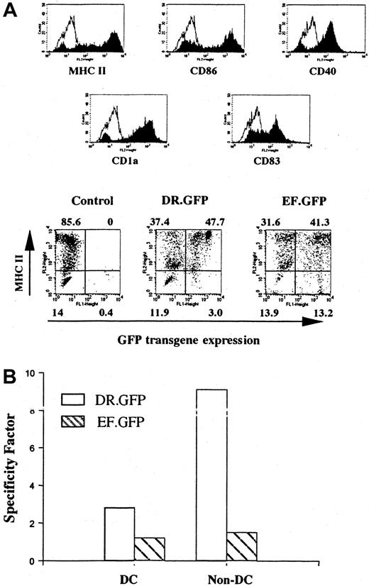 Fig. 4. Differentiated DCs from transduced human cells that had engrafted in the NOD/SCID mice. / Human cells derived from transduced CB CD34+ cells were isolated from the BM of engrafted NOD/SCID mice (Figure 3C). Enriched human cells were cultured with human GM-CSF, IL-4, and TNF-α for 14 days to allow DC differentiation and maturation as in Figure 1. (A) FACS analysis of GFP and other DC surface marker (including MHC II) expression in differentiated human DCs after transplantation. The control group shows the differentiated DCs without GFP transduction. (B) Quantification of the transgene expression specificity of either vector in MHC II+ cells among DC- and CFC-derived progeny (non-DCs, as in Figure 2C) differentiated in vitro subsequent to the engraftment of transduced CD34+ cells.