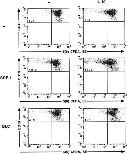 Fig. 1. SDF-1 and BLC effects on B1a-lymphocyte proliferation. / The effects of SDF-1, BLC, and IL-10 on the proliferation of B1a lymphocytes were evaluated using the 5(6) CFDA, SE assay. Results are from one representative out of 2 experiments. Similar results were obtained for B1b and B2 lymphocytes (data not shown). The percentage of B1a cells with a low concentration of 5(6) CFDA, SE is shown in the upper left quadrant.