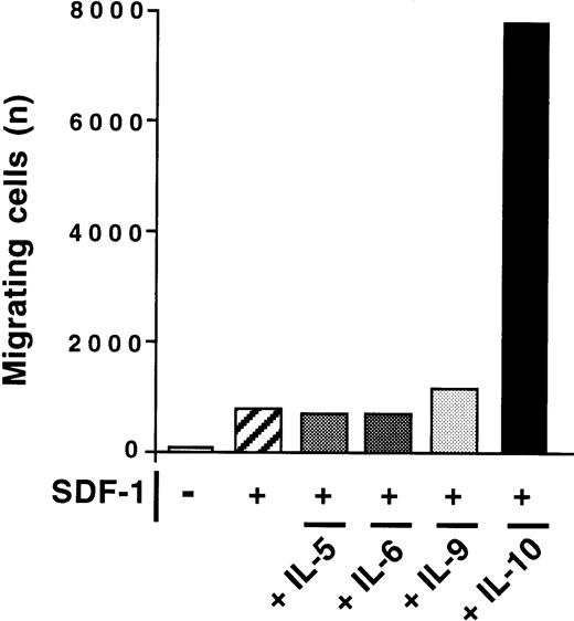 Fig. 3. Absence of effect of IL-5, IL-6, and IL-9 on SDF-1–induced chemotaxis. / The chemotactic response of peritoneal B cells to SDF-1 was tested with or without IL-5, IL-6, IL-9, or IL-10. Results shown are for B1a cells in 1 of 2 experiments. Similar findings were observed for B1b and B2 lymphocytes.