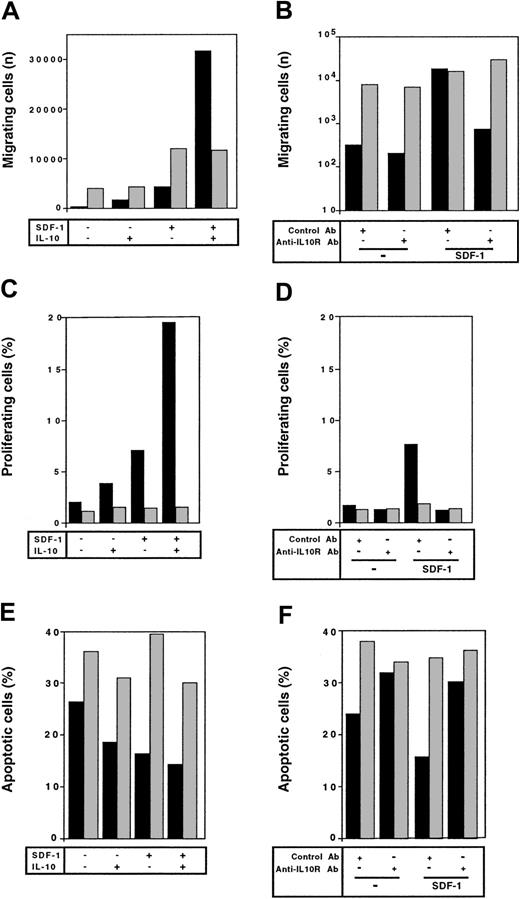 Fig. 7. Different responses to SDF-1 of peritoneal versus spleen B2 lymphocytes. / The response to SDF-1 of peritoneal (black columns) and spleen (gray columns) B2 lymphocytes was evaluated for chemotaxis (A,B), proliferation (C,D), and survival (E,F). In each case, the influence of IL-10 (left panels) or anti–IL-10R Ab (right panels) on this response was tested. Results shown are from 1 of 2 (C-F) or 3 (A,B) experiments.