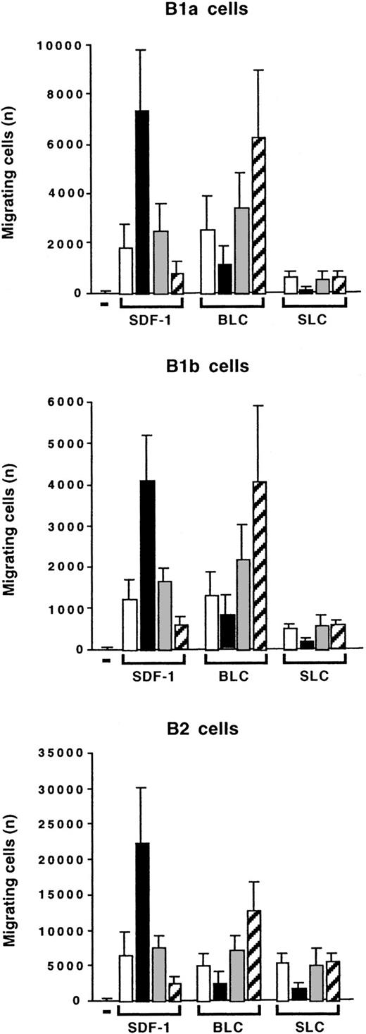 Fig. 11. Opposite effects of IL-10 on SDF-1–induced and BLC-induced chemotaxis. / Peritoneal cells were labeled with CD19, CD5, and Mac-1 mAbs and tested in Transwell experiments for SDF-1–induced or BLC-induced chemotaxis. Migration was evaluated without (empty columns) or with IL-10 (black columns), with a control Ab (gray columns), or with an anti–IL-10R Ab (hatched columns). Results (mean ± SEM from 3 experiments) are the numbers of cells migrating to the lower chamber.