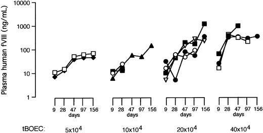 Fig. 2. Levels of human FVIII in NOD/SCID mouse plasma. / Blood was sampled on days 9, 28, 47, 97, and 156 after the administration of BOECs, and human FVIII was measured by ELISA. Results are shown for each mouse in the 4 groups that received eGFP-FVIII tBOECs. Cell dose is indicated per injection.
