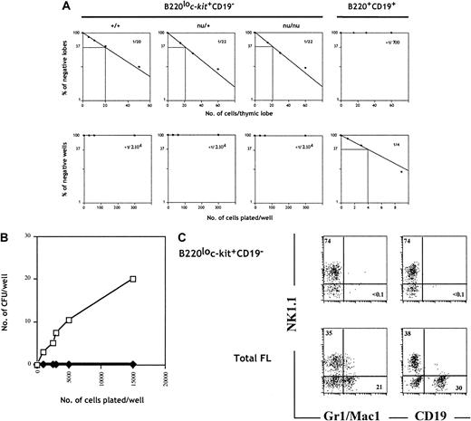 Fig. 2. B220lo. / c-kit+CD19− progenitors give rise to T and NK cells but fail to generate B and myeloid progeny in vitro. (A) B220+CD19+ (fraction a) FL cells isolated from wild-type embryos and B220loc-kit+CD19− cells (fraction e) isolated from wild-type, nu/+, andnu/nu were set under limiting dilution conditions in FTOC (upper panels) and with S17 stromal cells, KL, and IL-7 (lower panels). Plots of the percentage of negative wells per cell concentration and calculated frequencies are shown. (B) Total FL cells (■) and B220loc-kit+CD19− cells (♦) from wild-type C57BL/6 mice were cultured in methylcellulose, and erythromyeloid colonies were counted on day 7. (C) The same populations as in (B) were cultured on OP9 stromal cells in medium supplemented with IL-7, KL, and IL-2 for B, myeloid, and NK cell development. Cells were stained and analyzed by flow cytometry after 10 days of culture.