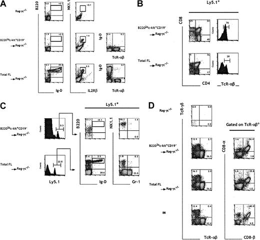 Fig. 5. In vivo progenitor activity of B220lo. / c-kit+CD19− FL cells.Total 15-dpc FL cells and sorted B220loc-kit+CD19− cells (fraction e) were injected into irradiated C57BL/6-Rag2/γc−/− mice at 7 × 104 and 104 cells per mouse, respectively, corresponding to an equivalent number of 500 TCPs. Four weeks after cell transfer, the blood (A), thymus (B), BM (C), and i-IELs (D) were analyzed by flow cytometry. The presence of donor-derived cells was assessed by gating on Ly5.1+ cells. Numbers indicate the relative percentage within the indicated gates. The results are representative of 4 experiments.