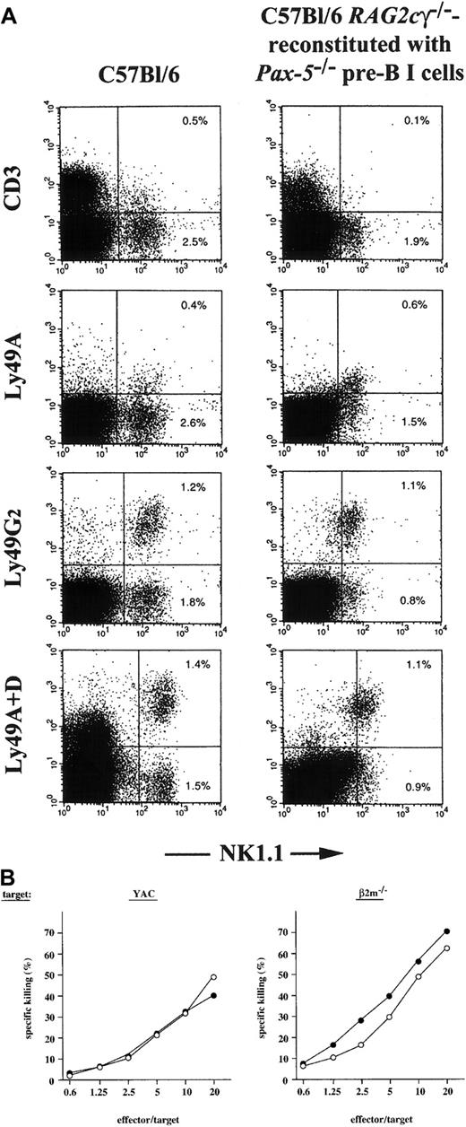 Fig. 2. Generation of NK cells. / (A) Flow cytometric analysis of wild-type C57Bl/6 spleen cells andRAG2cγ−/− spleen cells 3 months after reconstitution with a Pax5−/− pre-B I–cell clone. (B) Cytotoxicity assay. NK1.1+CD3− cells were sorted from C57Bl/6 spleen (●), and reconstitutedRAG2cγ−/− (○) were activated for 7 days in vitro with IL-2 and then assayed for their cytotoxicity against YAC-1 and lipopolysaccharide-stimulated spleen cells of β2m−/− mice.