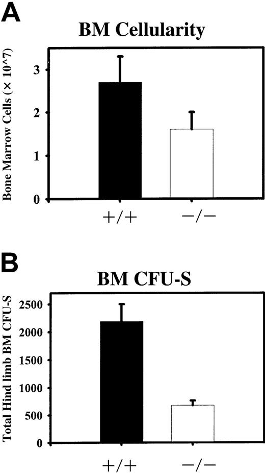 Fig. 1. Quantitation of absolute numbers of BM cells and CFU-Ss from both hind limbs of STAT5ab−/− and wild type mice. / (A) BM cellularity was determined after flushing both tibias and femurs from individual mice into phosphate-buffered saline/2% fetal bovine serum. Red blood cells were lysed in 2% acetic acid and nucleated cells were counted with the use of a hemacytometer. Shown is the average BM cellularity from analysis of wild-type (+/+) and STAT5ab−/− (−/−) mice (n = 13). (B) Total BM cells were injected into irradiated mice (900 rads; 137Cs source) at doses of 5 × 104 or 1 × 105 per recipient. Twelve days later the mice were killed and the spleens were collected. The number of CFU-Ss per spleen was determined by manual scoring using a dissecting microscope. The total number of injected cells was then divided by the number of CFU-Ss per spleen to calculate the ratio of CFU-Ss per number of injected cells (CFU-S frequency). The total number of BM cells was then multiplied by the CFU-S frequency to calculate the total number of BM CFU-Ss present in both hind limbs. Shown is analysis of either wild type (+/+) or STAT5ab−/−(−/−) mice groups from 3 separate comparisons.