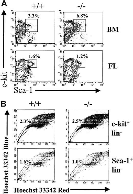 Fig. 2. Flow cytometry analysis of BM or FL cells from STAT5ab−/− and wild- type mice for Sca-1+c-kit+lin− or lin− SP fractions. / Total BM cells were harvested from individual STAT5ab−/−or wild-type mice. FL cells were collected from pregnant females that were mated 14.5 days earlier. The cells were then blocked with normal mouse serum, stained with antibody cocktails, and analyzed by FACS. (A) Shown are representative FACS profiles for lineage-negative BM or FL cells, analyzed for coexpression of Sca-1 (FITC) and c-kit (PECy5). (B) Shown is analysis of FL cells stained first with Hoechst 33342, washed, and next stained with antibodies to cell surface markers. Representative FACS profiles for c-kit+lin−SP and Sca-1+lin−SP cells are shown. The percentages marked represent the c-kit+lin− or Sca-1+lin− cells falling within the SP region (box).
