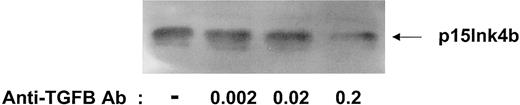 Fig. 2. Optimizing the amount of anti–TGF-β antibody to decrease p15 protein levels. / UCB CD34+ progenitors were incubated for 18 hours in serum-free media alone or in the presence of increasing concentrations of anti–TGF-β antibody (ng/mL). Cell lysates were prepared and subjected to 15% SDS-PAGE, followed by immunoblotting with a polyclonal antibody to p15Ink4b.