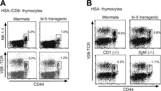 Fig. 3. NK T cells are reduced in bi-5 mice. / (A) Flow cytometric analysis of thymocytes from a representative bi-5 mouse and littermate control that were depleted of HSA+ and CD8+ cells and analyzed in parallel. Unless otherwise stated, all data are from line 747. (B) Flow cytometric analysis of thymocytes depleted of HSA+ cells. This figure compares the bi-5 mice to littermate controls, CD1−/−, and β2M−/− mice. The greater percentage of NK T cells in mice shown in (B) than in (A) is due in part to age-dependent differences (NK T-cell numbers increase with age) and to experimental variability. The mean percentage of HSA−/CD8−cells before bead depletion was 1.7% ± 0.8% (mean ± SD) for bi-5 and 2.8% ± 1.6% for littermate controls. Results are representative of those obtained in 4 or more independent experiments.