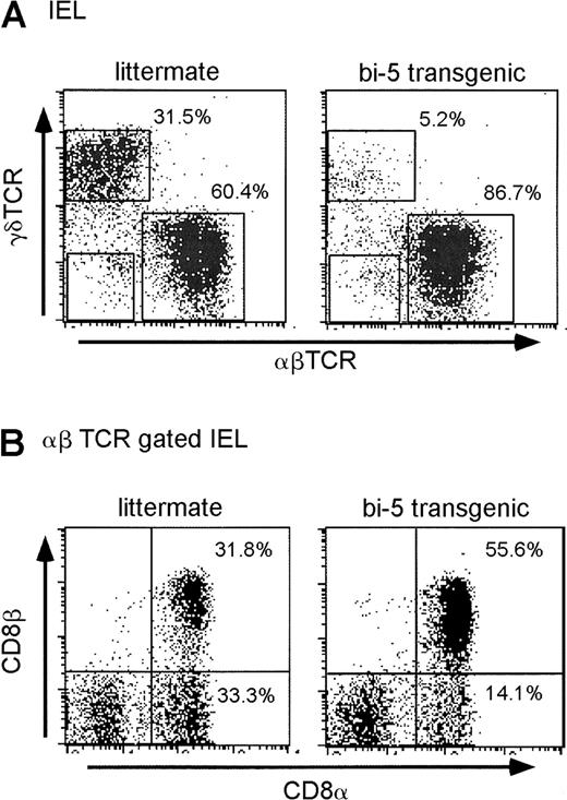 Fig. 4. IEL populations in the bi-5 mice. / Flow cytometric analysis of the IELs isolated from bi-5+and littermate control mice for (A) γδ TCR versus αβ TCR and (B) CD8α versus CD8β gated on αβ−TCR+ cells. Bi-5 γδ-IELs averaged 8.3% ± 3.3% (mean ± SD), whereas littermate γδ-IELs averaged 23.5% ± 8.6% (P = .001 by unpaired Studentt test). IELs recovered from bi-5 mice were approximately 68% (range, 20%-100%) of the numbers recovered in parallel from littermate controls. The average number of IELs recovered from bi-5 mice was 4.2 × 105, which is 68% (range, 20%-100%) of the numbers recovered in parallel from littermate controls with considerable variation between experiments in cell recovery because of differences in age and the multiple processing steps. Results are representative of a minimum of 6 or more independent experiments with mice between 3 and 15 weeks of age.