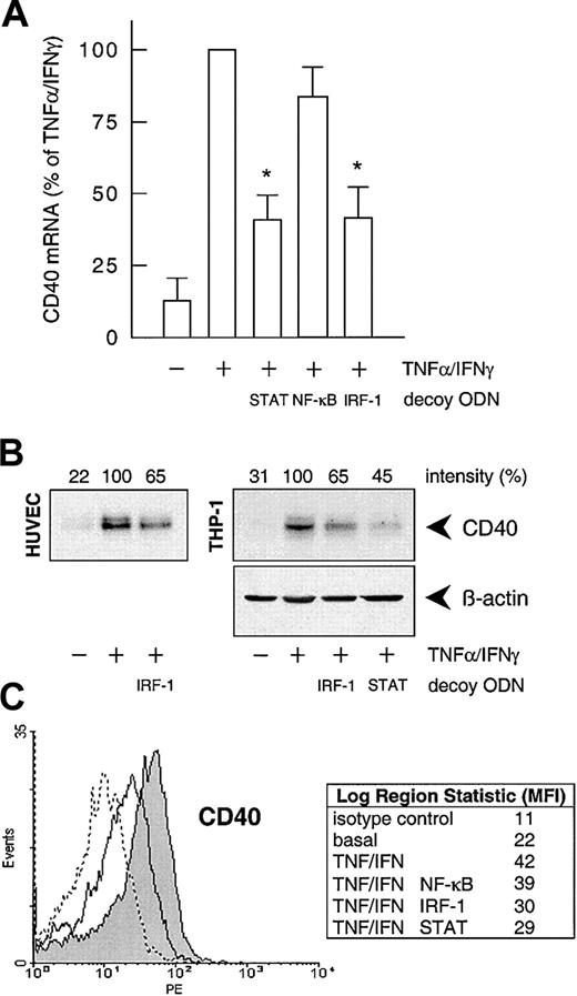Fig. 3. Effects of the different decoy ODNs on cytokine-stimulated CD40 expression. / (A) Statistical summary of the effects of the STAT-1, NF-κB, or IRF-1 consensus decoy ODNs (10 μM, 4 hours preincubation) on CD40 mRNA expression (calculated as percentage of the stimulated control) induced by TNF-α (100 U/mL) plus IFN-γ (1000 U/mL) in the cultured HUVECs (n = 5; *P < .05 versus TNF-α/IFN-γ). (B) Effect of the STAT-1 or IRF-1 consensus decoy ODN (10 μM, 4 hours preincubation) on TNF-α (100 U/mL) plus IFN-γ (1000 U/mL)–stimulated CD40 protein expression in HUVECs and THP-1 cells after 14 hours. Typical Western blot analyses are shown; qualitatively identical results were obtained with at least 2 further batches of endothelial or THP-1 cells. (C) Effects of the STAT-1, NF-κB, or IRF-1 consensus decoy ODNs on cell-surface expression of CD40 protein in HUVECs exposed to TNF-α (100 U/mL) plus IFN-γ (1000 U/mL) for 20 hours, as judged by flow cytometry. Data are expressed as mean fluorescence intensity (MFI). Representative histograms depict isotype control (dashed line), basal expression (solid line), and stimulated CD40 expression (solid line, area under the curve highlighted in gray). Qualitatively identical results were obtained with at least 3 further batches of cells.