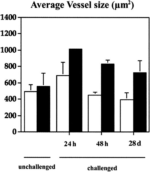 Fig. 4. Increased vascular remodeling in the inflamed skin of TSP-2–deficient mice. / Computer-assisted morphometric analysis of CD31-stained tissue sections revealed a moderately increased average vessel size at 24 hours after oxazolone challenge with normalization after 48 hours in the ear skin of wild-type mice (■). In contrast, cutaneous vessels in the inflamed skin of TSP-2–deficient mice (▪) were significantly larger after 24 hours, and the increase in vessel size persisted over 28 days. Data are expressed as mean ± SD. *P < .05; **P < .01.