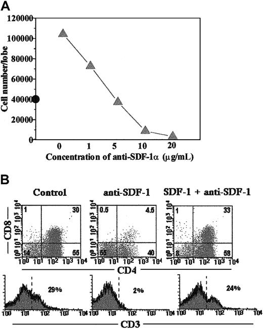 Fig. 5. The influence of rhSDF-1α on growth and development of human thymocytes can be neutralized by anti–SDF-1 antibodies. / (A) FTOC carried out as described in “Material and methods” were cultured in the presence of rhSDF-1α (10 ng/mL) and different doses of neutralizing anti–SDF-1α antibodies. The numbers of human cells recovered per lobe after 18 days of treatment are shown (solid line). Cell number in control FTOC is also indicated (•). (B) FTOC were cultured with anti–SDF-1α (5 μg/mL) in the absence or presence of rhSDF-1α (10 ng/mL) for 18 days. Cells expressing human CD45 antigen were gated and the expression of CD4, CD8, and CD3 antigens is shown for this gated population. Results are representative of 2 different experiments.