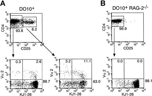 Fig. 1. CD4+CD25+ T cells preferentially express the second TCRα chain in DO10+ TCR transgenic mice. / Single-cell suspension of splenocytes from DO10+ mice (A) and DO10+ RAG-2−/− mice (B) were stained with anti-TCR Vα2 FITC, anti-CD25 PE, anti-CD4 PerCP, and KJ1-26 biotin. After biotinylated antibody was visualized with streptavidin APC, cells were analyzed on FACScalibur. Shown are representative FACS profiles of CD4 versus CD25 of CD4+ splenocytes (upper panels) and KJ1-26 versus Vα2 (lower panels) on either CD4+CD25+ T cells or CD4+CD25− T cells from 5 mice in each group.