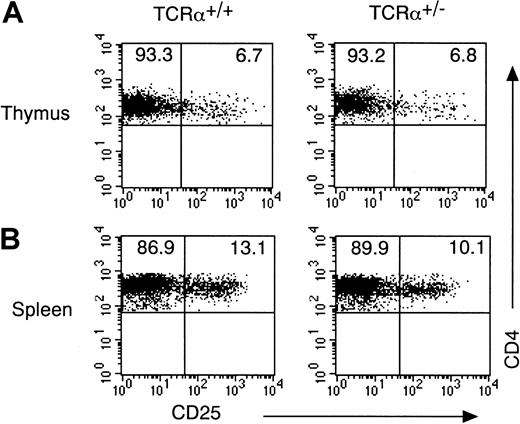 Fig. 2. Dual TCRα expression is not essential for the development of CD4+CD25+ T cells. / (A) Thymocytes from TCRα+/− mice and TCRα+/+ mice were stained with anti-CD3 FITC, anti-CD25 PE, anti-CD8 APC, and anti-CD4 PerCP. Shown are representative FACS profiles of CD4 versus CD25 on a CD4+CD8−CD3high population. FACS profile of CD4 versus CD8 and cell number of thymocytes was indistinguishable between TCRα+/− mice and TCRα+/+ mice (data not shown). (B) Splenocytes from TCRα+/− mice and TCRα+/+ mice were stained with anti-CD25 PE and anti-CD4 FITC. Shown are representative FACS profiles of CD4 versus CD25 on the CD4+ population from 5 mice in each group.