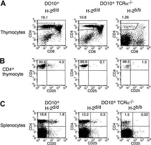 Fig. 3. CD4+CD25+ thymocytes are severely decreased in DO10+TCRα−/− mice in positively selecting and negatively selecting backgrounds. / (A, B) Thymocytes from DO10+ mice (H-2d/d), DO10+ TCRα−/− mice (H-2d/d), and DO10+ TCRα−/−mice (H-2b/b) were stained with KJ1-26 FITC, anti-CD25 PE, anti-CD8 APC, and anti-CD4 PerCP. Shown are representative FACS profiles of CD4 versus CD8 on total thymocytes (A) and CD4 versus CD25 on CD4+ CD8− KJ1-26high thymocytes (B) from 5 mice in each group. The numbers of thymocytes are as follows: DO10+ TCRα+/+H-2d/d mice (10.8 ± 2.6 × 107), DO10+ TCRα−/− H-2d/d mice (13.2 ± 3.0 × 107), and DO10+TCRα−/− H-2b/b mice (0.6 ± 0.2 × 107) (n = 5 mice each;P < .01). (C) Splenocytes from DO10+H-2d/d mice, DO10+ TCRα−/−H-2d/d mice, and DO10+ TCRα−/−H-2b/b mice were stained with anti-CD25 PE and anti-CD4 FITC. Shown are representative FACS profiles of CD4 versus CD25 on splenocytes from 5 mice in each group.