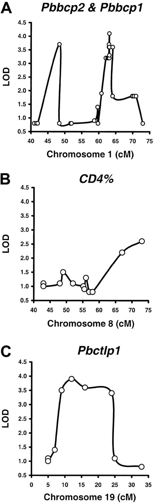 Fig. 2. QTLs for the B220%, CD4%, and CD8% phenotypes in BXD RI mice. / Peripheral blood B220%, CD4%, and CD8% were measured in 35 BXD RI strains for QTL mapping by using predetermined genotype data and the Map Manager QTXb11 software, both available from The Jackson Laboratory (http://www.bioinformatics.jax.org) Web site.56Two QTLs were defined for the B220% phenotype (A), designated peripheral blood B cell percentage 1 (Pbbcp1, LOD 4.1,P < .00001) and Pbbcp2 (LOD 3.7,P < .00004), on chromosome 1 (Chr 1) at 63.1 cM and 48.4 cM, respectively. A suggestive locus was found for the CD4% phenotype (LOD 2.6, P < .000 57) at 73 cM on Chr 8 (B). A QTL for the CD8% phenotype, peripheral blood cytotoxic T lymphocyte percentage 1 (Pbctlp1, LOD 3.8, P < .000 02), was mapped to the 9- to 24-cM region of Chr 19 (C).