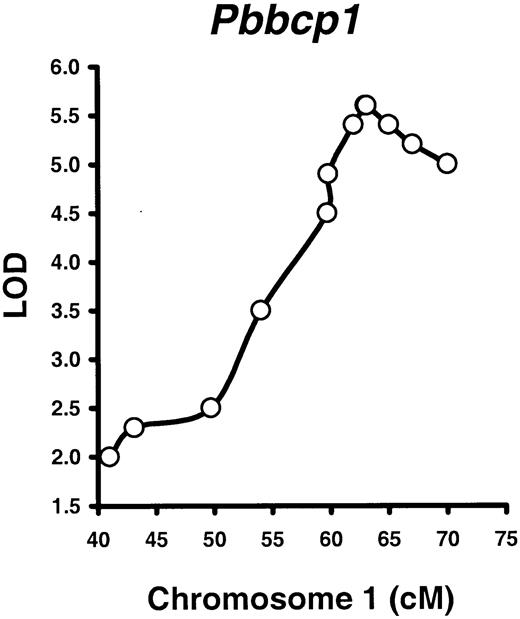Fig. 3. Mapping the. / Pbbcp1 locus in B6SJLF2 mice. A total of 98 B6SJLF2 mice (51 males, 47 females) were produced; measured for PB B220%, CD4%, and CD8% phenotypes at 2 to 3 months of age; tested for selected polymorphic markers adjacent to the Pbbcp1,Pbbcp2, and Pbctlp1 QTL regions; and proceeded for linkage analyses with the use of the Map Manager QTXb11 software. Only the Pbbcp1 locus was mapped to the same Chr 1 region with statistic significance (LOD 5.6,P < .000 01).