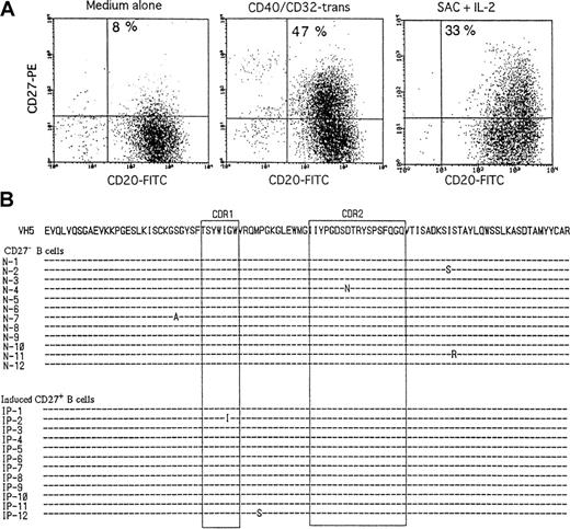 Fig. 5. Induction of CD27 and analysis of somatic hypermutations in CD27+ B cells derived from naive B cells. / (A) Highly purified CB B cells were stimulated with medium alone, 1 μg/mL anti-CD40 + CD32T, or 0.01% SAC + 50 U/mL IL-2. After 3 days of culture, the cells were stained with anti-CD20–FITC and anti-CD27− biotin followed by streptavidin-PE. (B) Highly purified CB B cells were stimulated with CD40/CD32T. After 3 days, the cells were incubated with anti-CD20–FITC and anti-CD27− biotin followed by streptavidin-PE, and CD27+ and CD27− B cells were sorted by FACStar Plus. The top sequence is the germline gene of VH5 with amino acid translation. Complementarity determining regions are boxed. These data are the representative of 2 different experiments. The same results were obtained when sort-pure adult CD27− B cells were stimulated with CD40/CD32T or SAC + IL-2.