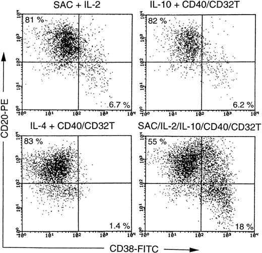 Fig. 6. Induction of plasma cells from CD27− naive B cells. / Highly purified adult CD27− B cells were cultured with SAC (0.01%) + IL-2 (50 U/mL), or IL-10 (50 ng/mL) + anti-CD40 mAb (1 μg/mL), SAC + IL-2 + IL-10 + anti-CD40 mAb in conjunction with cross-linking by CD32T (40%) at a final cell density of 0.5 × 105 per well in 96-well round-bottom plates for 8 to 10 days. Alternatively, the cells were cultured with IL-4 (50 ng/mL) + anti-CD40 mAb in conjunction with cross-linking by CD32T (40%) at a final cell density of 1 × 105 per well for 12 to 14 days. The cells were then stained with anti-CD38–FITC and anti-CD20–PE. The antibody-coated cells were gated on living cells by cell size and granularity, and dead cells were removed by propidium iodide (PI) staining and then counted by means of flow cytometric analysis. Expression of CD38 and CD20 on B cells are shown with a log scale. Data are representative of the results of 2 experiments using different donors. The same results were obtained when CB B cells were cultured with above-mentioned stimuli.