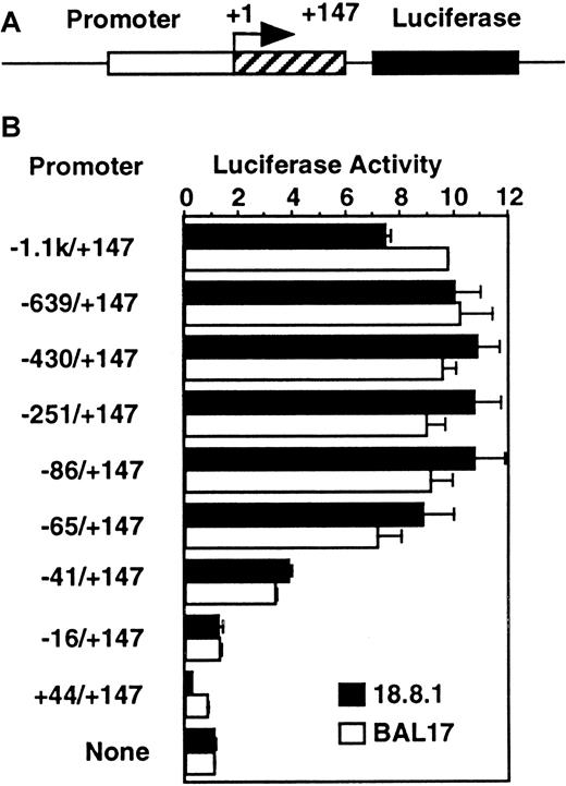 Fig. 1. The −41/−17 region is essential for the murine. / RAG-2 promoter in B-cell lines. (A) Diagram of promoter/luciferase construct. Mouse RAG-2 gene spanning −1.1 kb to +147 bp or its serial deletion (open box for −1.1 kb to −1 and shaded box for +1 to +147) was linked to 5′ of luciferase reporter gene (closed box). +1 indicates major transcription initiation site. (B) Promoter activity in B-cell lines with serially deletedRAG-2 promoter region. A quantity of 10 μg luciferase constructs linked to the serially deleted mouse RAG-2promoter region (indicated on left) was transfected into 18.8.1 cells or BAL17 cells. pSRα-LacZ was included as an internal control. Twenty-four hours later, luciferase and β-galactosidase assays were performed on cell extracts. The activity of the luciferase construct without promoter in each cell is set to 1. Error bars indicate deviation of 3 experiments.