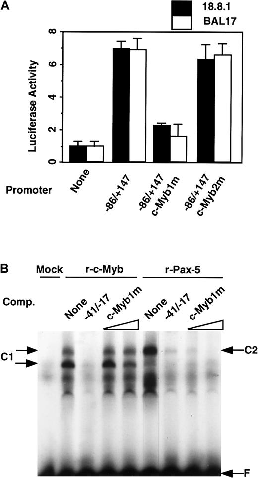 Fig. 3. c-Myb activates the RAG-2 promoter by binding the c-Myb1 site in the promoter region. / (A) Promoter activity of wild-type versus c-Myb binding site–mutatedRAG-2 promoter. A quantity of 10 μg luciferase constructs linked to the −86/+147 promoter fragment or that with mutation in c-Myb binding sites (c-Myb1m or c-Myb2m) together with pSRα-LacZ was transfected into 18.8.1 cells or BAL17 cells, and luciferase activity was analyzed as in Figure 1. Error bars indicate deviation of 3 experiments. (B) Effect of mutation in c-Myb1 site on binding of recombinant c-Myb and Pax-5 to the −41/−17 region. Nuclear extracts were prepared 48 hours after transient transfection of 293T cells with pAct vector (Mock), pAct–c-Myb (r-c-Myb), or pEFBOS–Pax-5 (r-Pax-5) DNA and subjected to EMSA as in Figure 2C. To verify specific binding, 50-fold excess of unlabeled −41/−17 oligonucleotide (WT), or 50-fold or 200-fold excess of a similar oligonucleotide containing mutations at the c-Myb1 site (c-Myb1m) was included in EMSA. Specific DNA/protein complex is indicated as C1 (for c-Myb) and C2 (for Pax-5), and free probe as F. Two bands are detected for c-myb (C1), probably reflecting the monomer (lower band) and dimer (upper band) formation of c-Myb protein(s) in the gel Pax-5.29