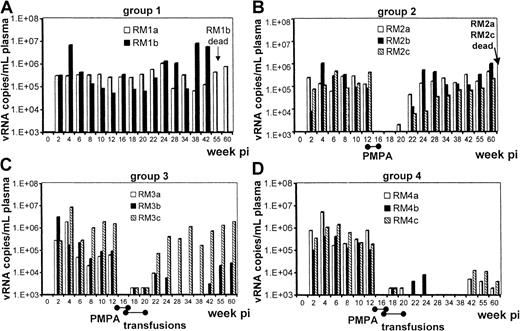 Fig. 1. Plasma viral load in rhesus macaques following SIVmac239 infection. / (A) Virus-only control group (monkeys RM1a and RM1b). (B) SIV infection and a 28-day course of PMPA chemotherapy (monkeys RM2a, RM2b, RM2c). (C) SIV infection, PMPA chemotherapy, and infusion with autologous unfractionated PBMCs (monkeys RM3a, RM3b, RM3c). (D) SIV infection, PMPA chemotherapy, and infusion with anti-CD3/CD28-activated autologous CD4+ T cells (monkeys RM4a, RM4b, RM4c).