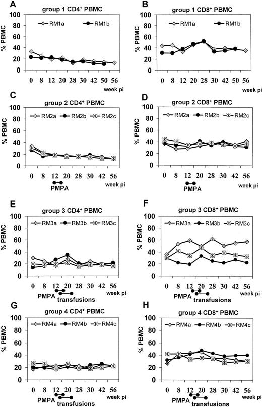 Fig. 3. Kinetics of the frequencies of CD4+ and CD8+T-cell subsets in the PBMCs of rhesus macaques following SIVmac239 infection. / SIV infection alone (A,B); SIV infection and a 28-day course of PMPA chemotherapy (C,D); SIV infection, PMPA chemotherapy, and infusions with autologous unfractionated PBMCs (E,F); SIV infection, PMPA chemotherapy, and infusions with anti-CD3/CD28-activated autologous CD4+ T cells (G,H). CD4+, A,C,E,G; CD8+, B,D,F,H.