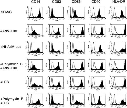 Fig. 2. Adenovirus-induced acquisition of DC phenotype in the absence of endotoxin contamination. / Adenovirus-induced acquisition of DC phenotype is not a result of endotoxin contamination. Monocytes were cultured in SFM/G for 24 hours and were then either infected with adenovirus-Luc (with and without polymyxin B), infected with heat-inactivated (HI) adenovirus-Luc, or treated with 10 ng/mL LPS (with or without polymyxin B). Monocytes were incubated with 200 ng/mL polymyxin B for 1 hour before the indicated treatments. All cells were harvested, stained, and subjected to FACS analysis 36 hours after infection or treatment. Results are representative of 6 separate experiments with different donors.