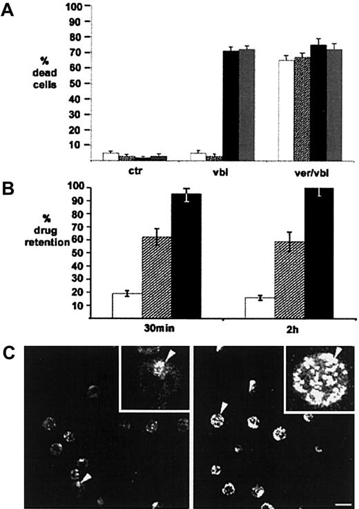 Fig. 7. Effects of antisense PONs on P-gp activity. / (A) The percentage of dead CEM-VBL100 cells untreated (■) or pretreated with sense (▨) or antisense (▪) PONs, or parental CCRF-CEM cells (░), and then treated with vinblastine (vbl), verapamil plus vinblastine (ver/vbl), or nothing (ctr), using the live/dead viability/cytotoxicity test (Molecular Probes). Histograms represent mean ± SD of 5 different experiments. In antisense-treated cells only, VBL susceptibility was significantly restored, at levels comparable to those in the parental CCRF-CEM line. (B) Flow cytometric analysis of percentage of drug retention in untreated (■) or antisense PON–treated (▨) CEM-VBL100 cells. Cells were incubated with VBL-bodipy (see “Materials and methods”), washed, and allowed to recover in fresh medium for the indicated times. As a positive control for P-gp activity inhibition, untreated CEM-VBL100 cells were incubated with VPL during the efflux time (▪). The percentage of drug retention was calculated as the ratio between the MFC of each sample at the end of the efflux time and the MFC detected at the end of drug treatment, times 100. (C) Confocal microscopy analysis of VBL-bodipy retention in ERM sense (left panel) and antisense (right panel) PON-treated CEM-VBL100 cells in 1 of 5 representative experiments. The insets show magnifications of the cells pointed by the arrowheads, further illustrating the differences in the drug distribution between ERM sense and antisense treatments. Bar = 10 μm.
