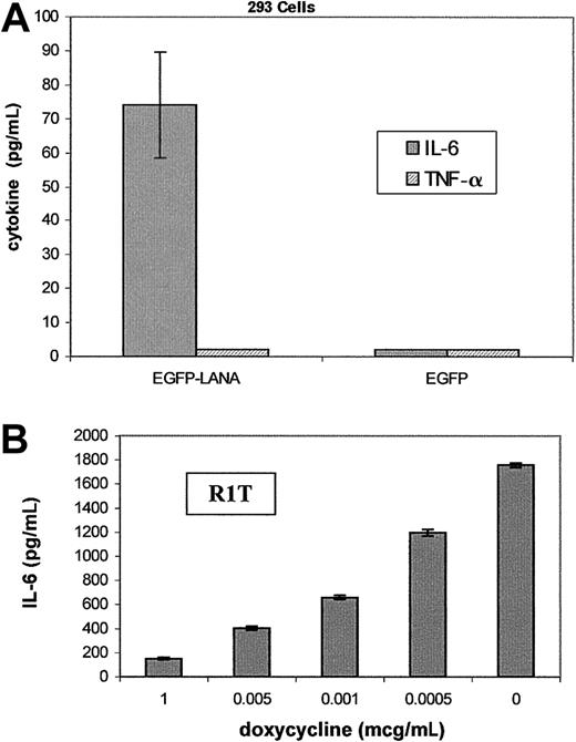 Fig. 3. Induction of IL-6 expression by LANA. / (A) IL-6 and TNF-α levels in culture supernatants of 293 cells stably transfected with EGFP-LANA or EGFP blank vectors. Experiments were performed in duplicate. TNF-α levels were undetectable in 293 cells transfected with EGFP-LANA or the EGFP control vector. IL-6 levels were undetectable in 293 cells transfected with the EGFP control vector. (B) IL-6 levels in culture supernatants of R1T cells expressing EGFP-LANA in the tetracycline-regulated system. Various concentrations of doxycycline were used to induce EGFP-LANA expression; 1 μg/mL doxycycline represents a suppressive concentration. Experiments were performed in duplicate.