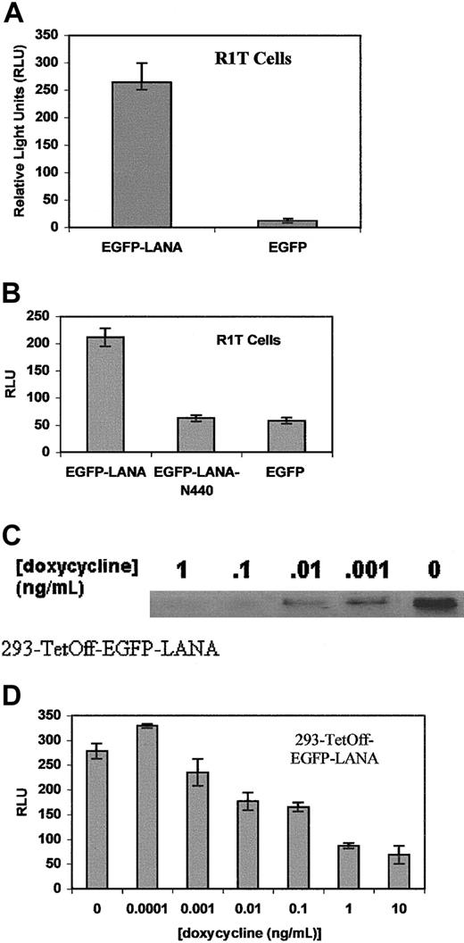 Fig. 4. LANA transactivates the IL-6 promoter in R1T and 293 cells. / (A) Reporter gene expression in R1T cells transiently transfected with pIL6-1200/SEAP and EGFP-LANA or EGFP blank vectors. Results are the means of 3 experiments. (B) Transient transfection of pIL6-1200/SEAP with EGFP-LANA, EGFP-LANAΔN440, or EGFP blank in R1T cells. Experiments performed in duplicate. (C) Western blot for EGFP-LANA on protein extracts from 293-TetOff-EGFP-LANA cells were exposed to various concentrations of doxycycline. Nuclear protein (20 μg) was loaded in each lane and hybridized with an anti-EGFP antibody (Clontech). Coomassie blue staining of gel demonstrated equal loading of protein in each lane. (D) pIL6-1200/SEAP was transiently transfected into 293-TetOff-EGFP LANA cells exposed to various concentrations of doxycycline. Results are means of 2 experiments.