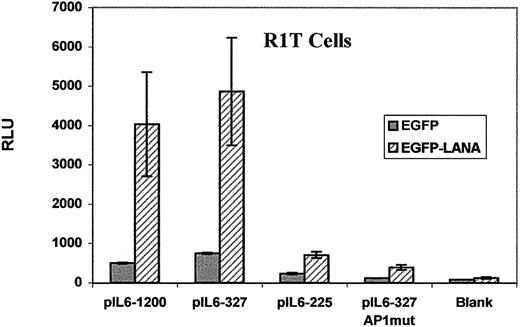 Fig. 5. The AP1 RE mediates maximal transactivation of the IL-6 promoter by LANA. / R1T cells were cotransfected with an IL-6 promoter construct and either EGFP-LANA or EGFP blank vectors. Reporter gene expression from the blank pSEAP-Basic vector served as the negative control. Results are the means of 2 experiments. See text for details.