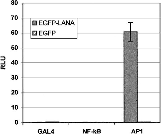 Fig. 6. LANA transactivates the AP1 RE but not the κ-B RE. / R1T cells were cotransfected with the EGFP-LANA or EGFP blank vector and the p5xGAL4-luc, p3xkB-luc, or p5xAP1-luc vector. Luciferase expression was assayed at 48 hours, and experiments were run in duplicate.